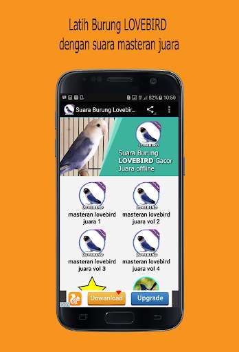 Run android online APK Suara Burung Lovebird Mp3 from MyAndroid or emulate Suara Burung Lovebird Mp3 using MyAndroid