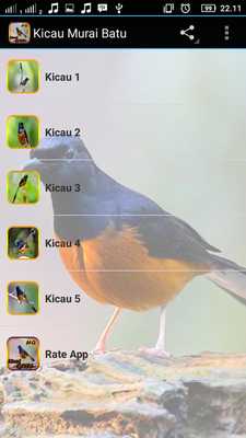 Emulate Android APK SUARA BURUNG MURAI BATU JAWARA Emulate Android APK SUARA BURUNG MURAI BATU JAWARA