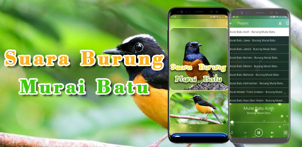 Run android online APK Suara Burung Murai Batu Mp3 from MyAndroid or emulate Suara Burung Murai Batu Mp3 using MyAndroid