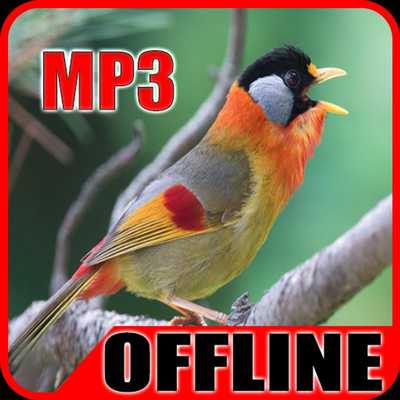 Emulate Android APK Suara Burung Panca Warna Emulate Android APK Suara Burung Panca Warna