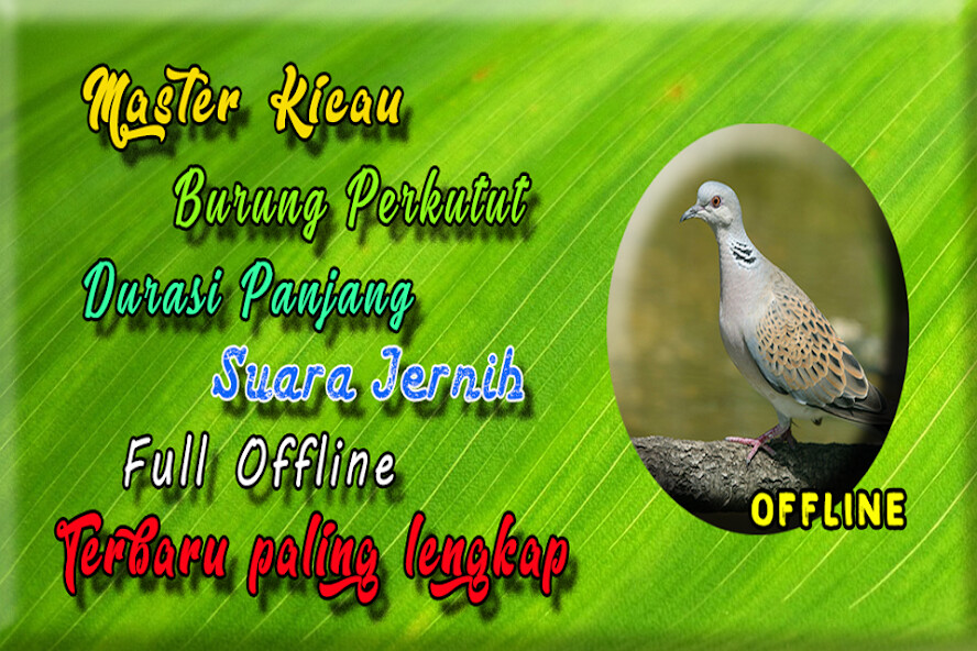 Run android online APK Suara Burung Perkutut Juara MP3 from MyAndroid or emulate Suara Burung Perkutut Juara MP3 using MyAndroid Run android online APK Suara Burung Perkutut Juara MP3 from MyAndroid or emulate Suara Burung Perkutut Juara MP3 using MyAndroid