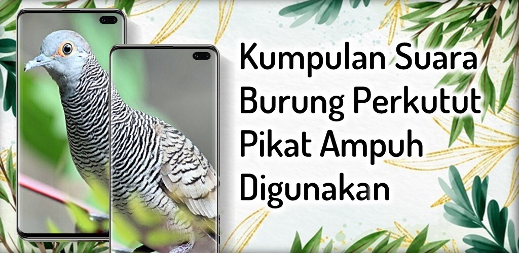 Run android online APK Suara Burung Perkutut Pikat from MyAndroid or emulate Suara Burung Perkutut Pikat using MyAndroid