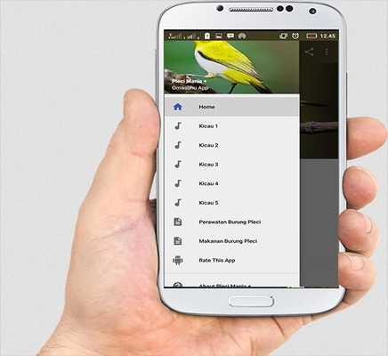 Emulate Android APK Suara Burung Pleci Special Mp3 Emulate Android APK Suara Burung Pleci Special Mp3