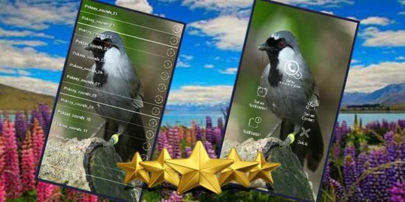 Emulate Android APK Suara Burung Poksay : Masteran Poksay Gacor Emulate Android APK Suara Burung Poksay : Masteran Poksay Gacor