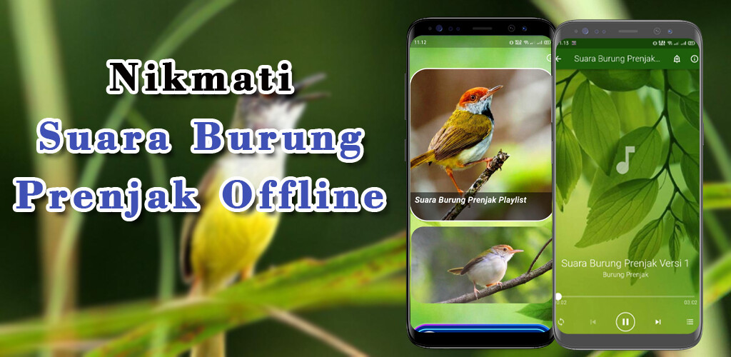 Run android online APK Suara Burung Prenjak Offline from MyAndroid or emulate Suara Burung Prenjak Offline using MyAndroid Run android online APK Suara Burung Prenjak Offline from MyAndroid or emulate Suara Burung Prenjak Offline using MyAndroid