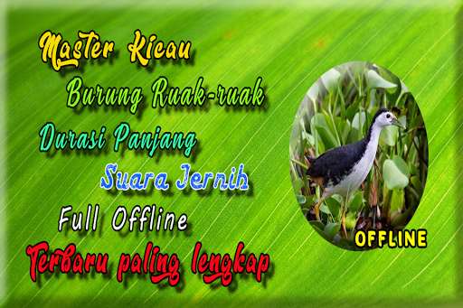 Run android online APK Suara Burung Ruak Ruak MP3 from MyAndroid or emulate Suara Burung Ruak Ruak MP3 using MyAndroid Run android online APK Suara Burung Ruak Ruak MP3 from MyAndroid or emulate Suara Burung Ruak Ruak MP3 using MyAndroid