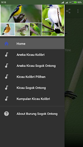 Emulate Android APK Suara Burung Sogok Ontong Gacor Emulate Android APK Suara Burung Sogok Ontong Gacor