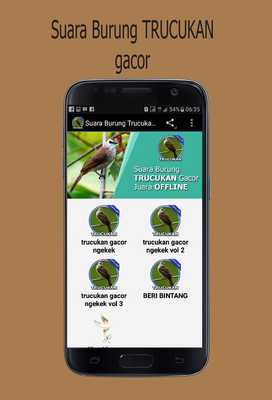 Emulate Android APK Suara Burung Trucukan Mp3
