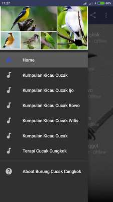 Emulate Android APK Suara Cucak Cungkok Gacor