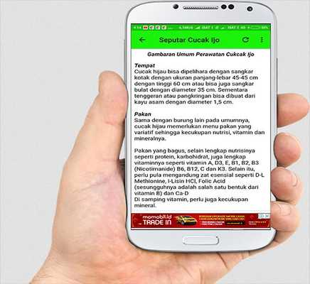 Emulate Android APK Suara Cucak Ijo Emulate Android APK Suara Cucak Ijo