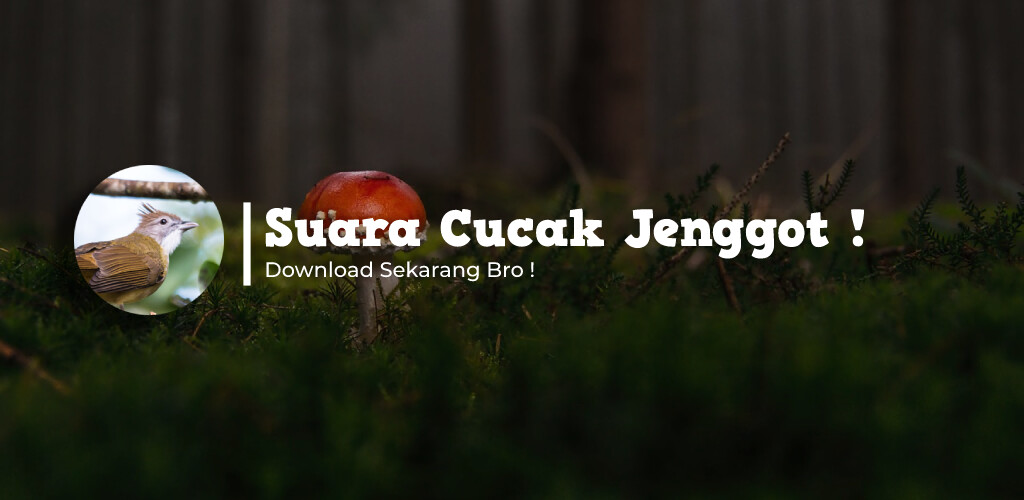 Run android online APK Suara Cucak Jenggot Gacor HD from MyAndroid or emulate Suara Cucak Jenggot Gacor HD using MyAndroid Run android online APK Suara Cucak Jenggot Gacor HD from MyAndroid or emulate Suara Cucak Jenggot Gacor HD using MyAndroid