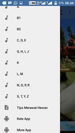 Run android online APK Suara Hewan Mp3 from MyAndroid or emulate Suara Hewan Mp3 using MyAndroid