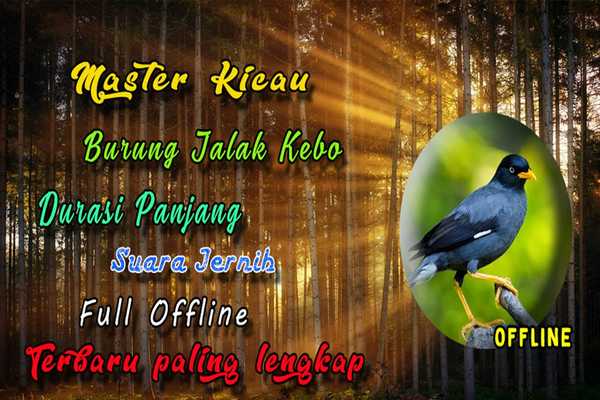 Emulate Android APK Suara Jalak Kebo Gacor Offline - kicau jalak kebo Emulate Android APK Suara Jalak Kebo Gacor Offline - kicau jalak kebo