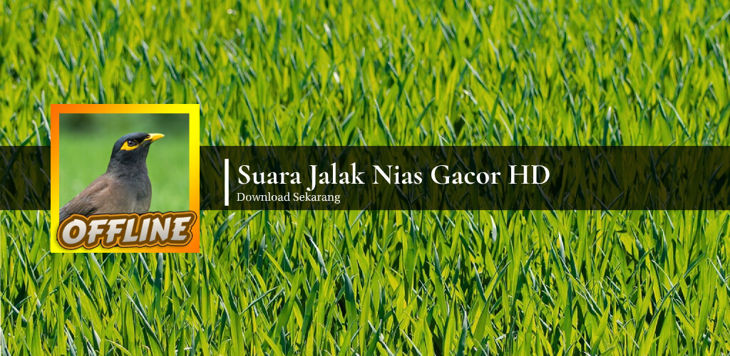 Run android online APK Suara Jalak Nias Gacor HD from MyAndroid or emulate Suara Jalak Nias Gacor HD using MyAndroid