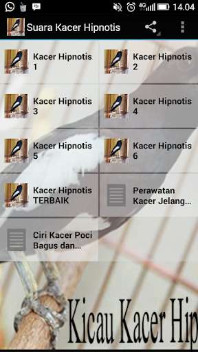 Emulate Android APK Suara Kacer Hipnotis Juara Emulate Android APK Suara Kacer Hipnotis Juara
