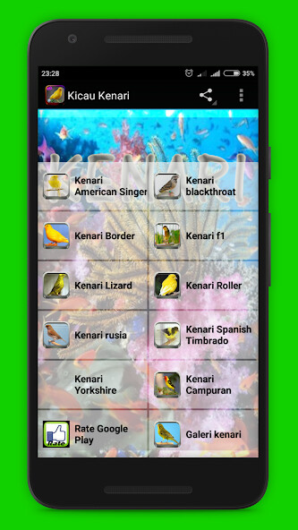 Run android online APK Suara Kicau Burung Kenari from MyAndroid or emulate Suara Kicau Burung Kenari using MyAndroid