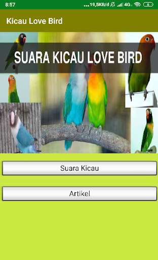 Run android online APK Suara Kicau Love Bird Juara Offline from MyAndroid or emulate Suara Kicau Love Bird Juara Offline using MyAndroid
