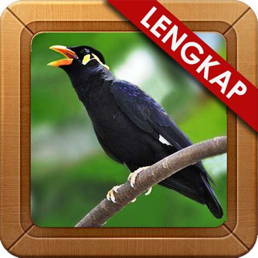 Run android online APK Suara Masteran Beo Lengkap from MyAndroid or emulate Suara Masteran Beo Lengkap using MyAndroid Run android online APK Suara Masteran Beo Lengkap from MyAndroid or emulate Suara Masteran Beo Lengkap using MyAndroid