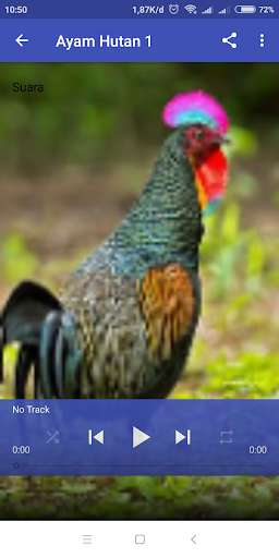Run android online APK Suara Panggil Ayam Hutan Terbaru from MyAndroid or emulate Suara Panggil Ayam Hutan Terbaru using MyAndroid Run android online APK Suara Panggil Ayam Hutan Terbaru from MyAndroid or emulate Suara Panggil Ayam Hutan Terbaru using MyAndroid