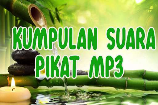 Run android online APK Suara Pikat Ayam Hutan Full Bass from MyAndroid or emulate Suara Pikat Ayam Hutan Full Bass using MyAndroid Run android online APK Suara Pikat Ayam Hutan Full Bass from MyAndroid or emulate Suara Pikat Ayam Hutan Full Bass using MyAndroid