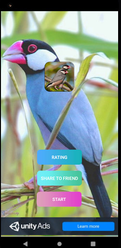 Run android online APK Suara pikat Burung Gelatik from MyAndroid or emulate Suara pikat Burung Gelatik using MyAndroid