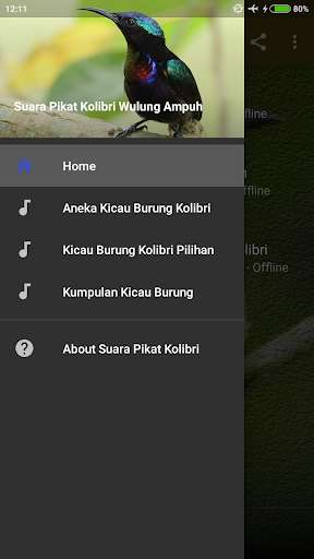 Run android online APK Suara Pikat Kolibri Wulung from MyAndroid or emulate Suara Pikat Kolibri Wulung using MyAndroid Run android online APK Suara Pikat Kolibri Wulung from MyAndroid or emulate Suara Pikat Kolibri Wulung using MyAndroid