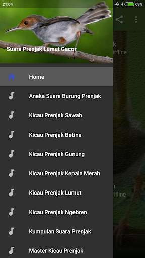 Run android online APK Suara Prenjak Lumut Gacor Mp3 from MyAndroid or emulate Suara Prenjak Lumut Gacor Mp3 using MyAndroid