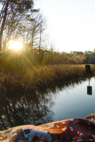 Run android online APK Summer fishing from MyAndroid or emulate Summer fishing using MyAndroid Run android online APK Summer fishing from MyAndroid or emulate Summer fishing using MyAndroid