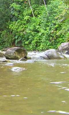 Emulate Android APK Summer in the mountains Emulate Android APK Summer in the mountains