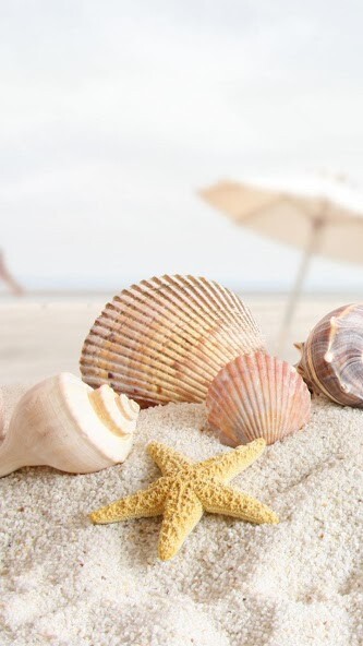 Emulate Android APK Summer Live Wallpaper Emulate Android APK Summer Live Wallpaper