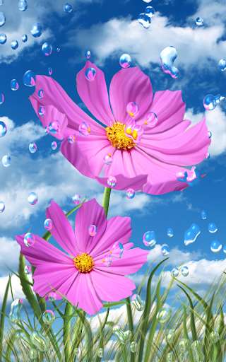 Emulate Android APK Summer Rain, Flowers, HD LWP Emulate Android APK Summer Rain, Flowers, HD LWP