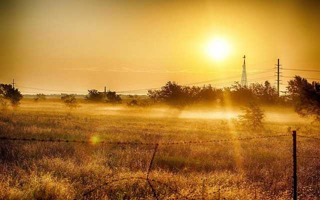 Emulate Android APK Summer Sun Live Wallpaper