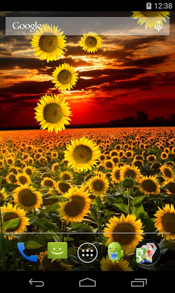 Run android online APK Sunflower Live Wallpaper from MyAndroid or emulate Sunflower Live Wallpaper using MyAndroid Run android online APK Sunflower Live Wallpaper from MyAndroid or emulate Sunflower Live Wallpaper using MyAndroid