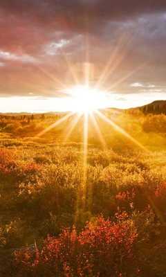 Emulate Android APK sunrise wallpaper free