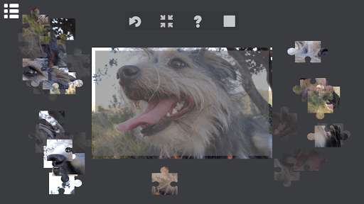 Run android online APK Super Jigsaw Puzzle World of Dogs from MyAndroid or emulate Super Jigsaw Puzzle World of Dogs using MyAndroid Run android online APK Super Jigsaw Puzzle World of Dogs from MyAndroid or emulate Super Jigsaw Puzzle World of Dogs using MyAndroid