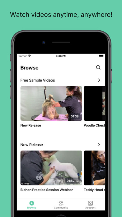 Emulate iPhone app Super Styling Sessions TV using MyAndroid Emulate iPhone app Super Styling Sessions TV using MyAndroid