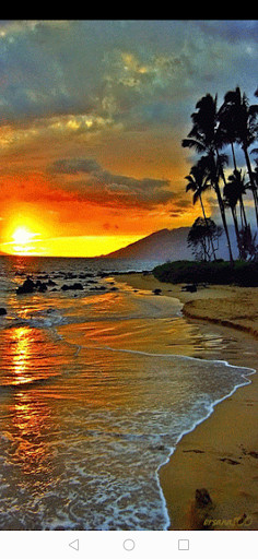 Run android online APK Surah Taghbuun from MyAndroid or emulate Surah Taghbuun using MyAndroid