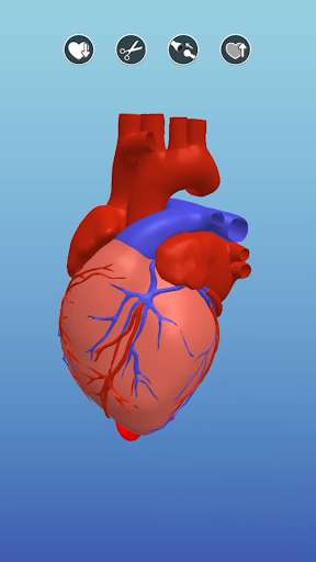 Run android online APK Surgeon 3D from MyAndroid or emulate Surgeon 3D using MyAndroid Run android online APK Surgeon 3D from MyAndroid or emulate Surgeon 3D using MyAndroid