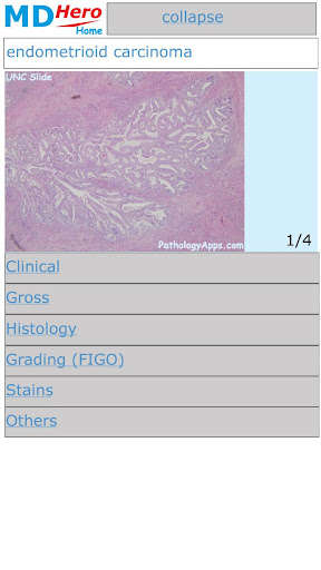 Run android online APK Surgical Pathology from MyAndroid or emulate Surgical Pathology using MyAndroid Run android online APK Surgical Pathology from MyAndroid or emulate Surgical Pathology using MyAndroid