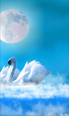 Emulate Android APK Swans Amazing LWP Emulate Android APK Swans Amazing LWP
