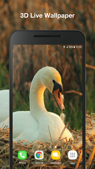 Emulate Android APK Swans live wallpaper Emulate Android APK Swans live wallpaper
