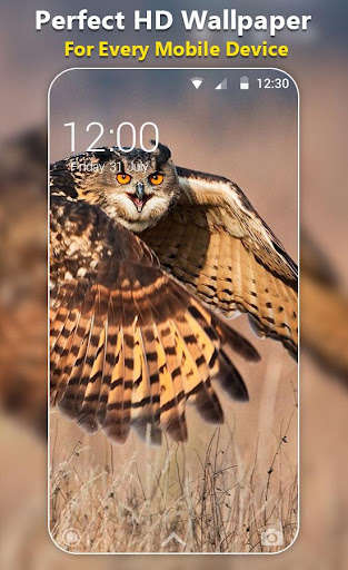 Run android online APK Sweet Owl Live Wallpaper from MyAndroid or emulate Sweet Owl Live Wallpaper using MyAndroid Run android online APK Sweet Owl Live Wallpaper from MyAndroid or emulate Sweet Owl Live Wallpaper using MyAndroid