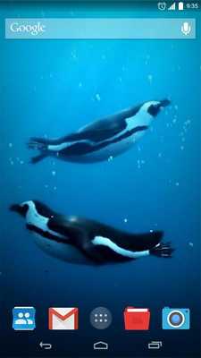 Emulate Android APK Swimming Penguins Live Emulate Android APK Swimming Penguins Live