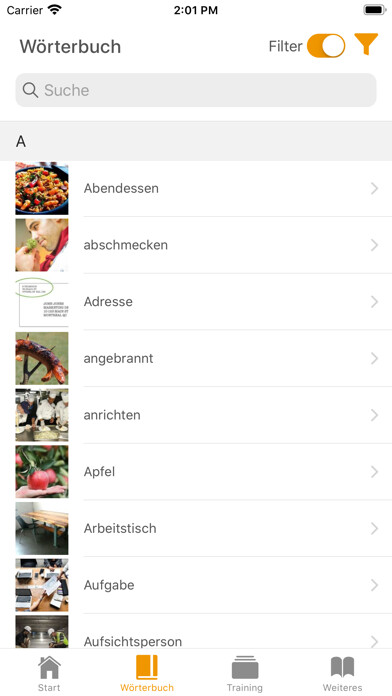 Run android online APK SWING (FAU Edition) from MyAndroid or emulate SWING (FAU Edition) using MyAndroid