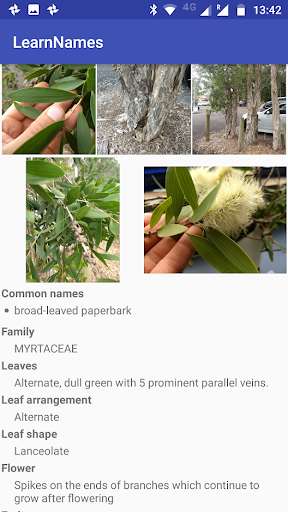 Run android online APK Sydney Arborist from MyAndroid or emulate Sydney Arborist using MyAndroid Run android online APK Sydney Arborist from MyAndroid or emulate Sydney Arborist using MyAndroid