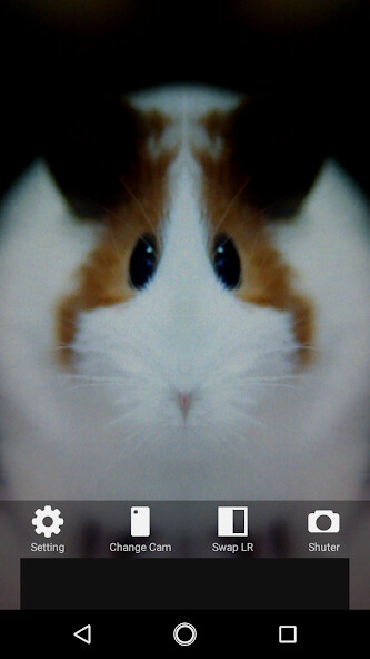 Run android online APK Symmetrical Camera from MyAndroid or emulate Symmetrical Camera using MyAndroid