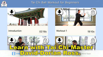 Emulate iPhone app Tai Chi Ball Beginner using MyAndroid Emulate iPhone app Tai Chi Ball Beginner using MyAndroid