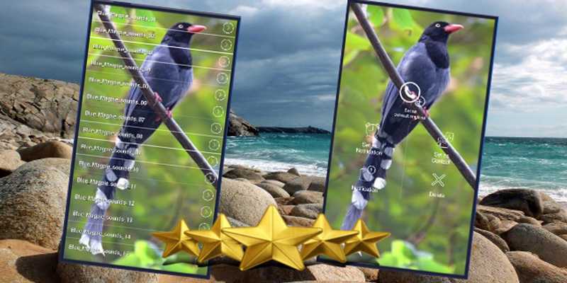 Emulate Android APK Taiwan Blue Magpie Sound Emulate Android APK Taiwan Blue Magpie Sound