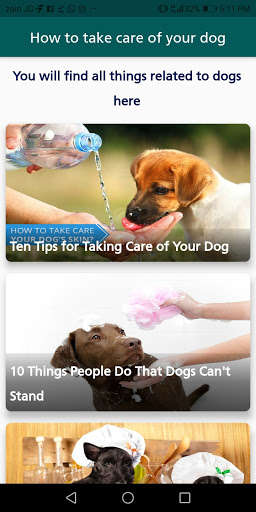 Run android online APK Taking care of dogs 2021 from MyAndroid or emulate Taking care of dogs 2021 using MyAndroid Run android online APK Taking care of dogs 2021 from MyAndroid or emulate Taking care of dogs 2021 using MyAndroid