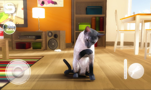 Run android online APK Talking Blue Siamese Cat from MyAndroid or emulate Talking Blue Siamese Cat using MyAndroid